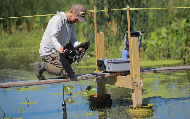 Man kneeling on boardwalk over a pond uses device to collect data and measurements from the water